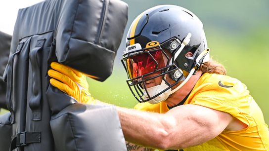 Steelers 2023 positional preview: What's to make of the new linebackers? taken on the South Side (Steelers)